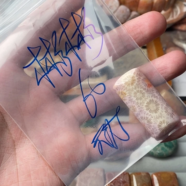 彬***g硅化玉未镶嵌珊瑚玉