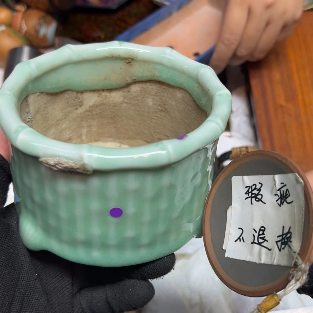 瓷片哈哈哈哈哈哈哈