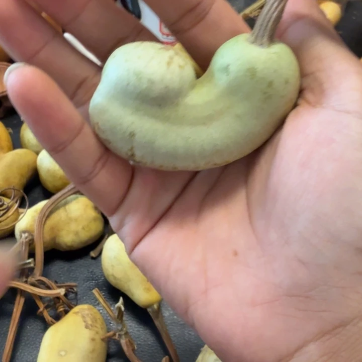 小***i88888888888888888