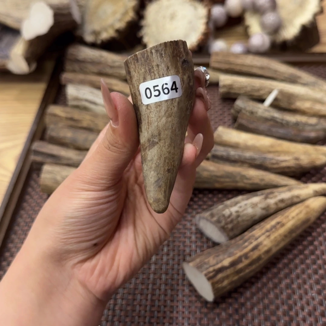 鹿骨其他0564脚尖