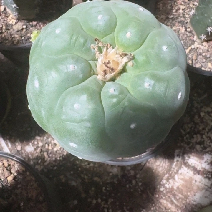 特价特价特价特价