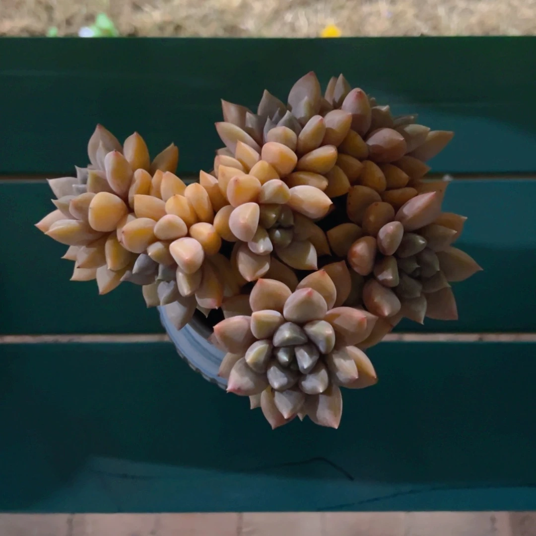 Mi1111111111111111111