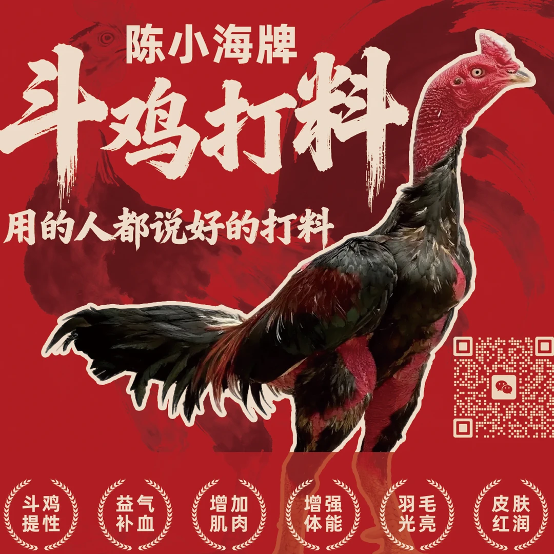 陈小海    牌斗鸡打料