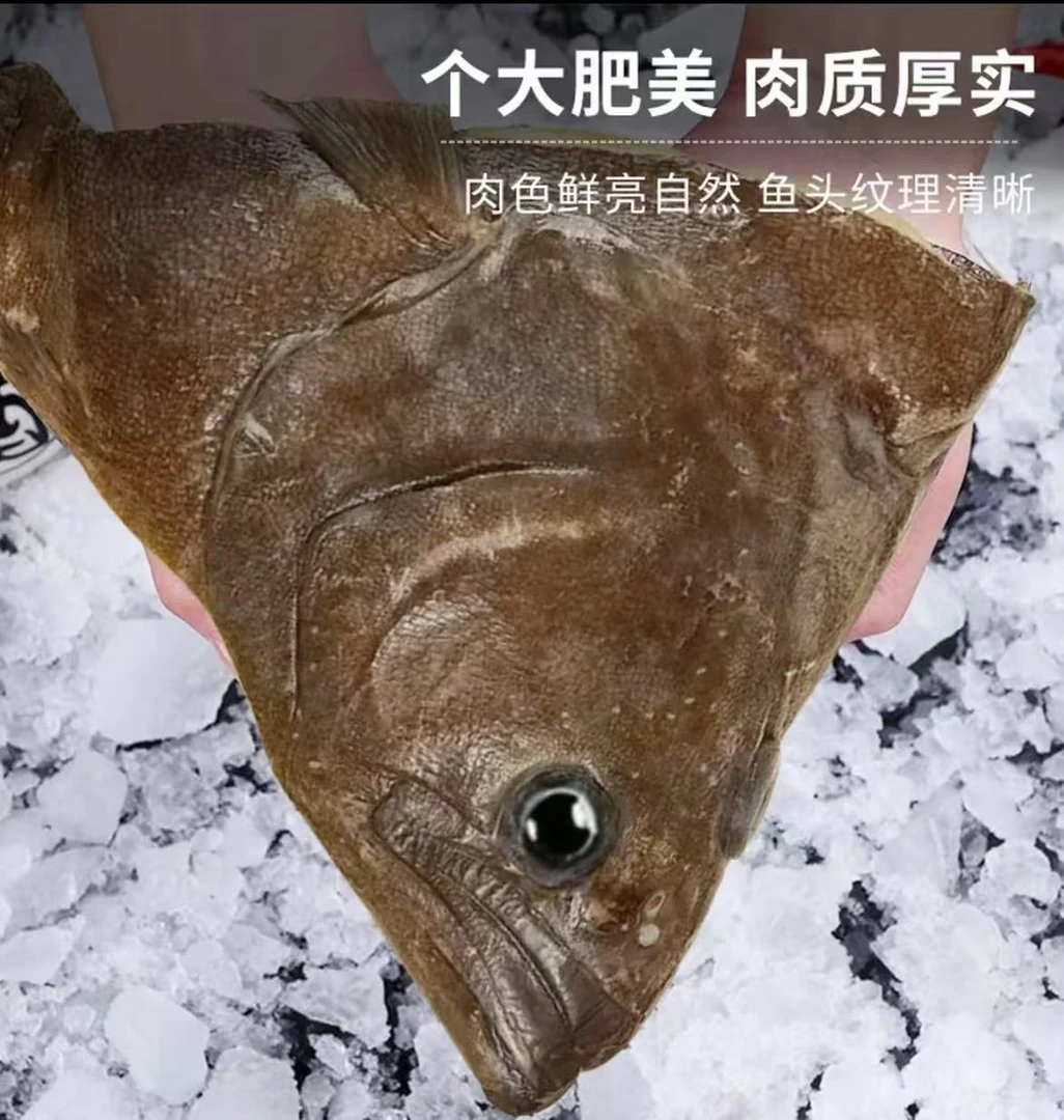 舟山海鲜 深海鸦片鱼头特大  碟鱼头肉质鲜嫩水产