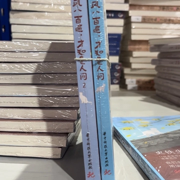 驯鹿毛听风八百遍才知是人间