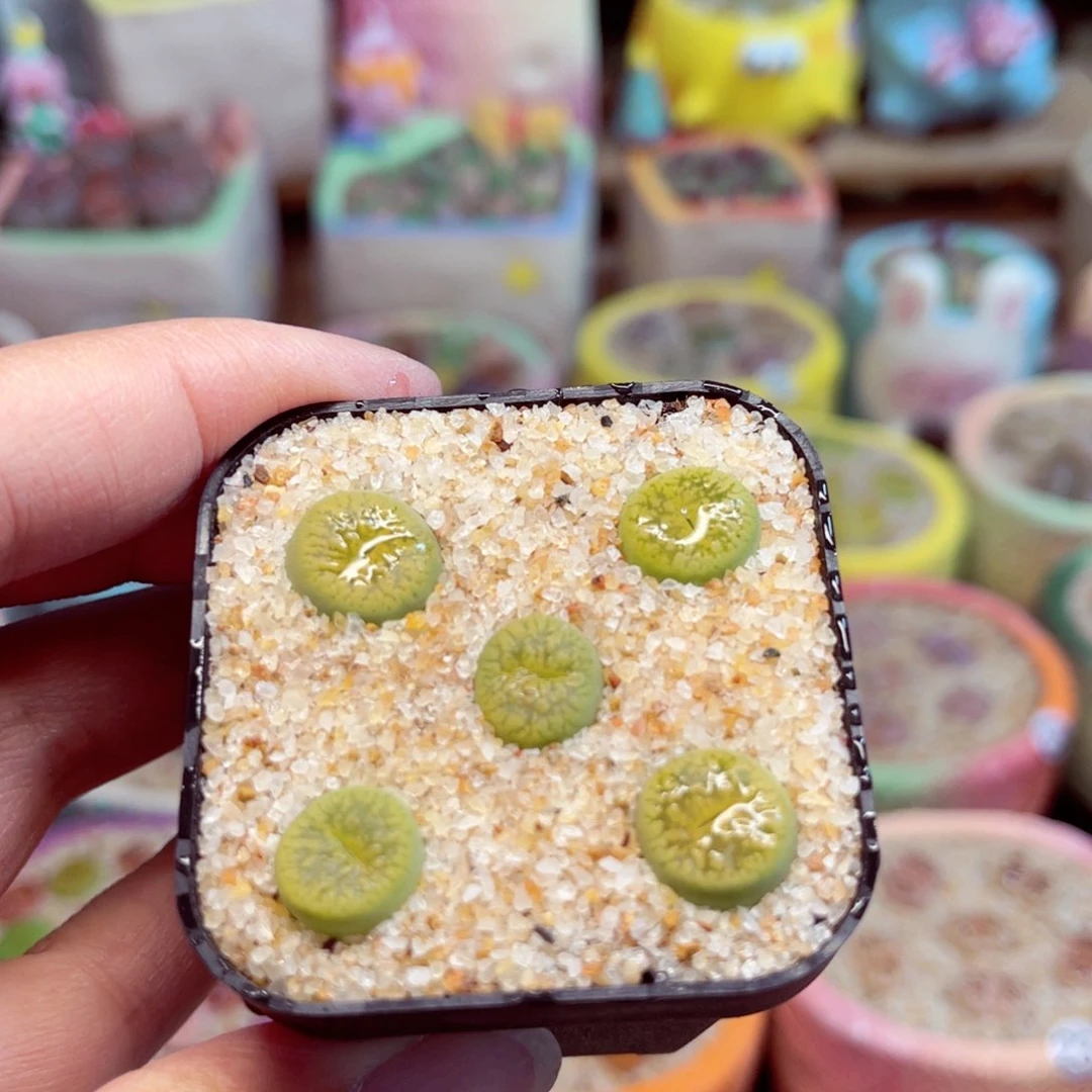 548。88888888888888888