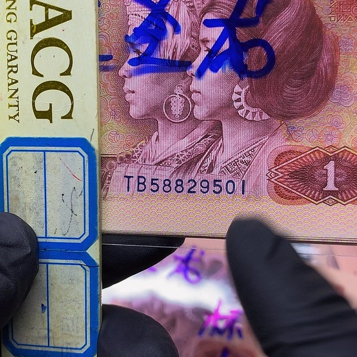 篱***光801至尊黄金圣龙意外冠标十一组