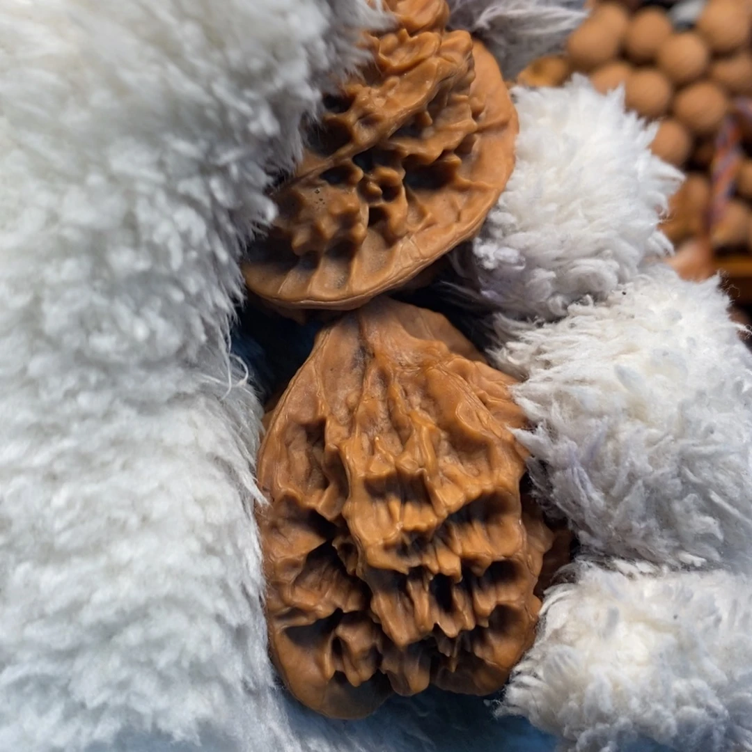 老***K我们也在这点上班咯诶