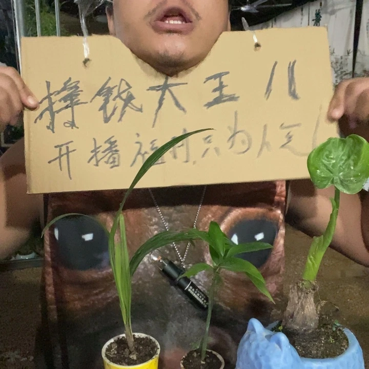 完全开放退款拉黑9