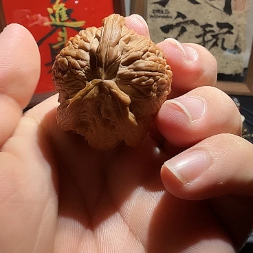 吊坠文玩核桃白狮子单只