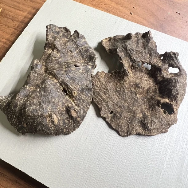 海南沉香沉水老壳子