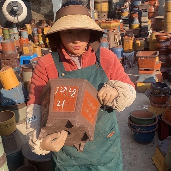 紫砂花盆盆栽花卉苗木种植