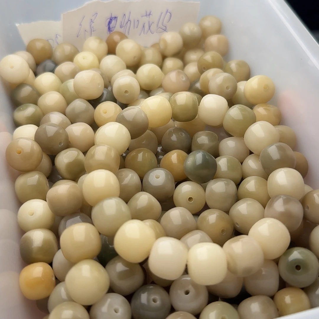 吊坠菩提根/象牙果50 颗绿咖花皮 13 桶