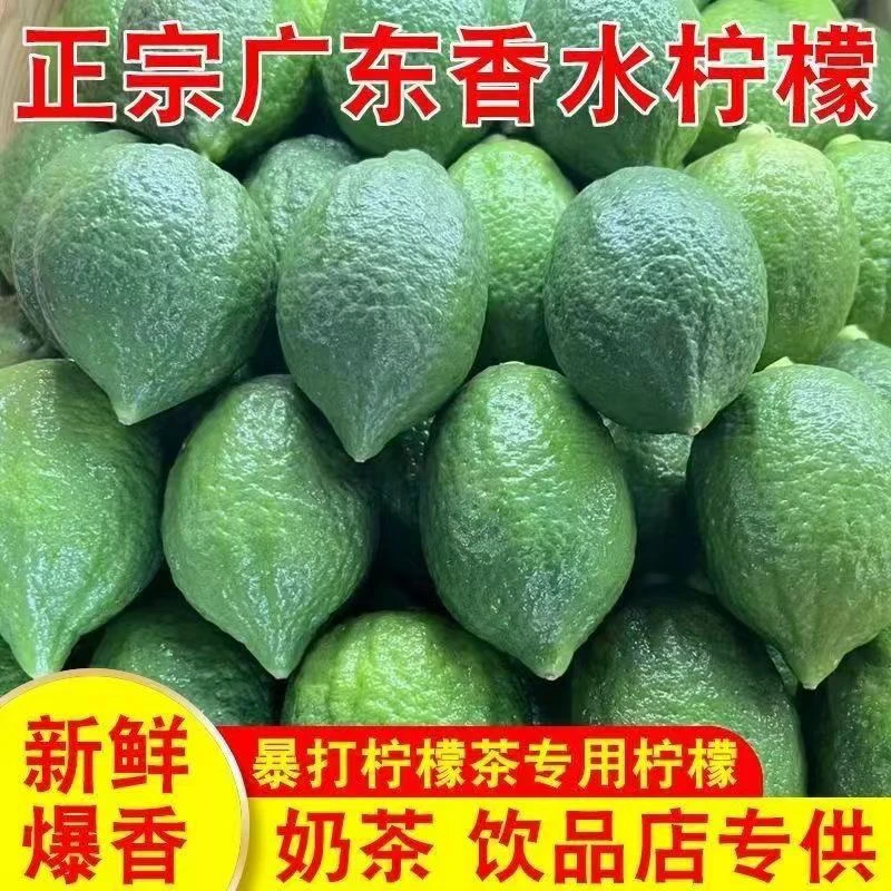 广东香水柠檬一级二级新鲜皮薄果厚现摘现发奶茶店专用柠檬茶原料