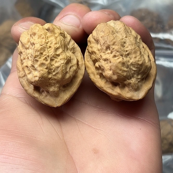 核桃7号古柏金蟾39尺