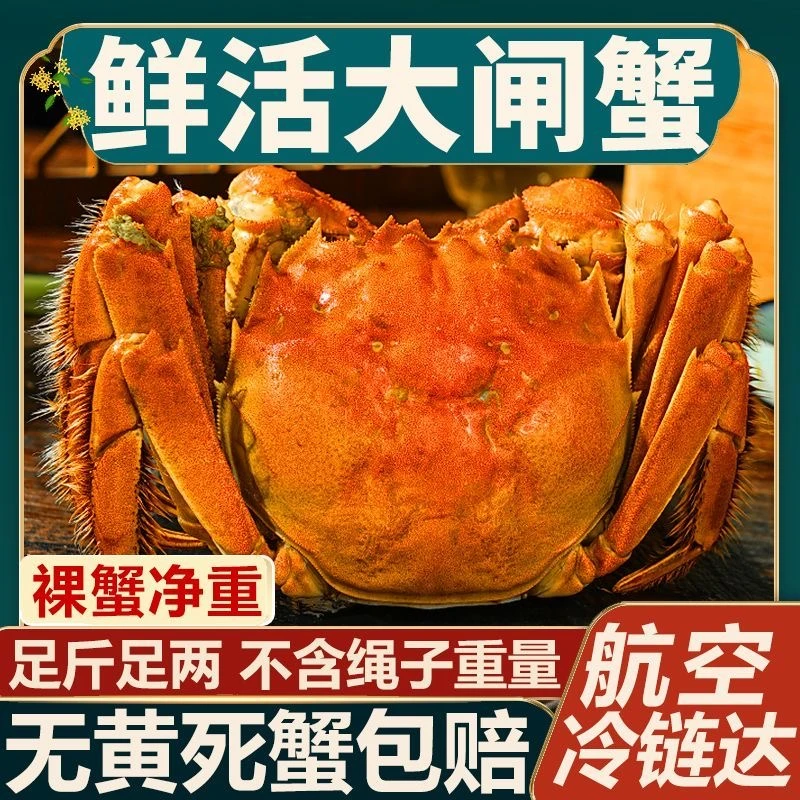 【公母对半】苏州大闸蟹5.0/4.5/4.0/3.5两 母4.0/3.5/3.0/2.5十只