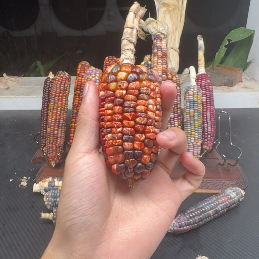 用***0柏香籽/百香籽吊坠