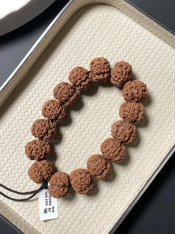 头货精选 五瓣爆肉双龙粗筋金刚菩提秒沉水通透牛筋红