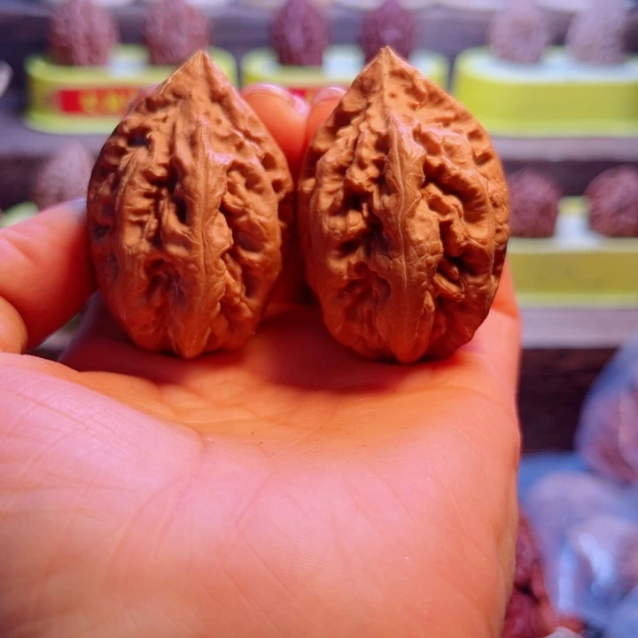 核桃11号车放漏漏漏