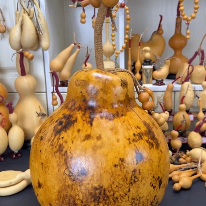 扇子?****ゞ16666668888888888