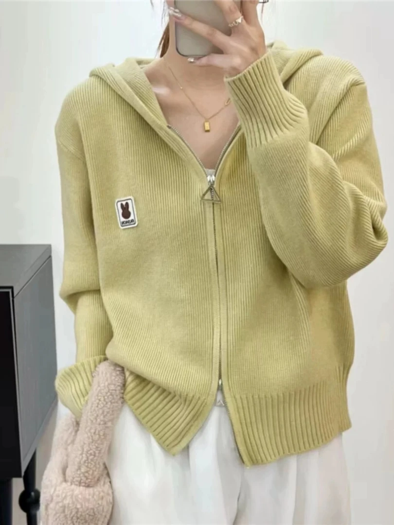 春秋宽松慵懒别致连帽长袖针织开衫上衣女设计感小众短款毛衣外套