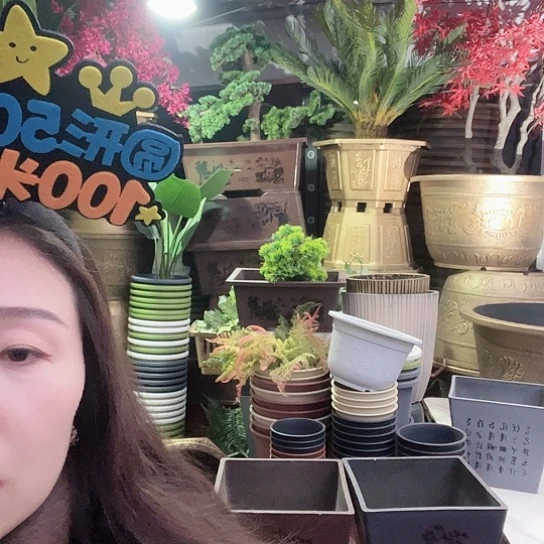 复合梅花照眼 依然旧风味