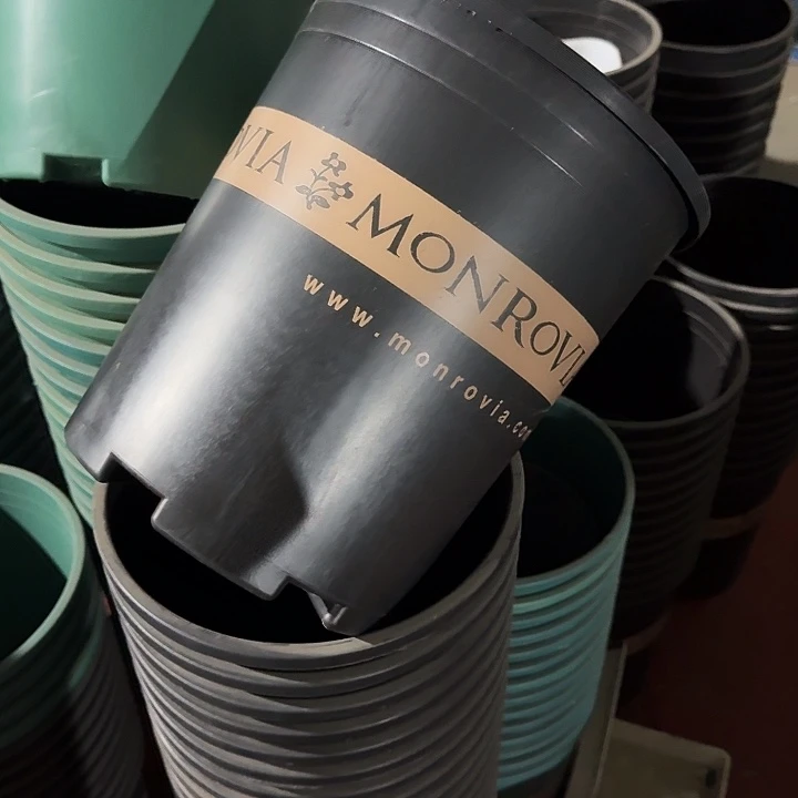 高5加仑5个无托黑色瑕疵