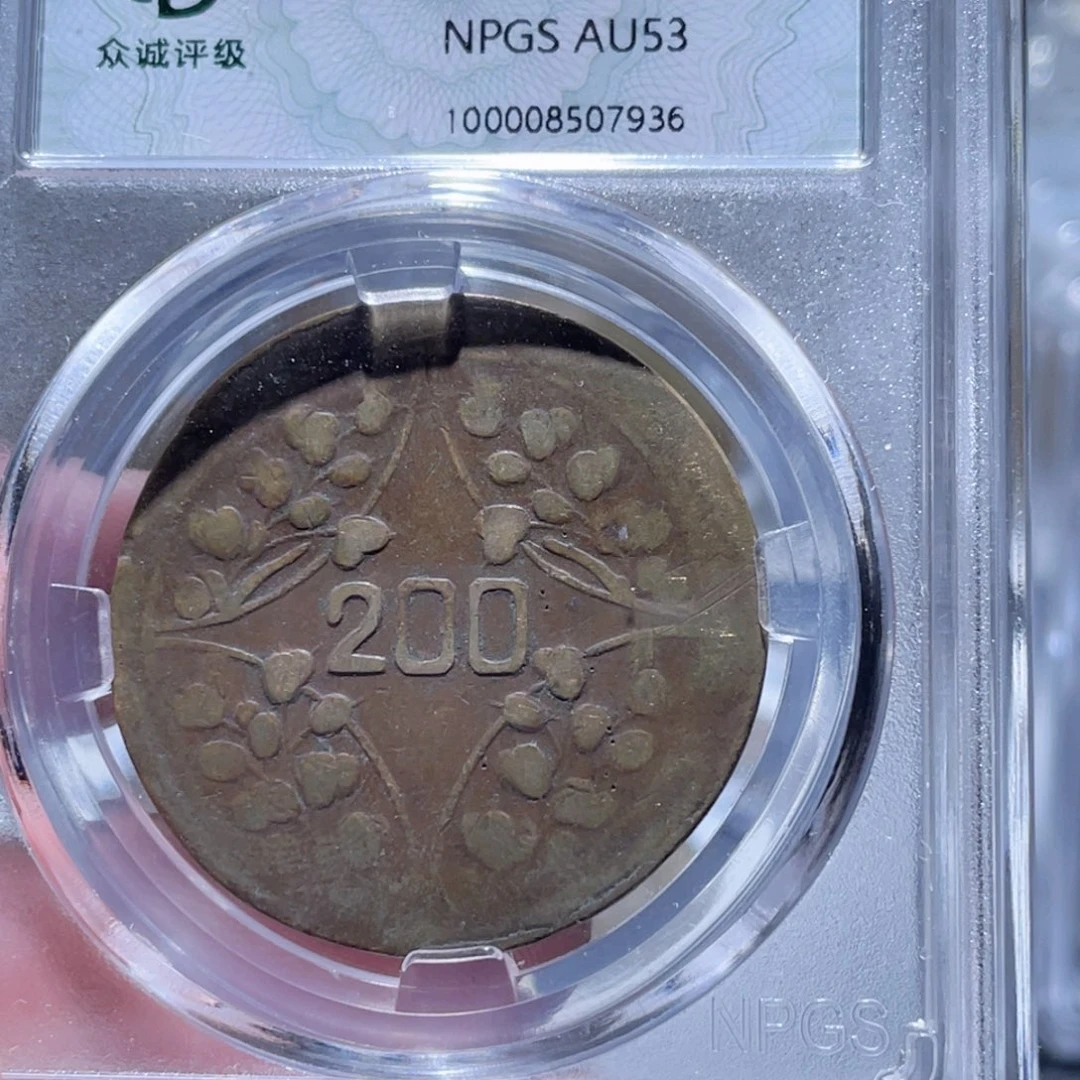 铜通古博今250614范范7936