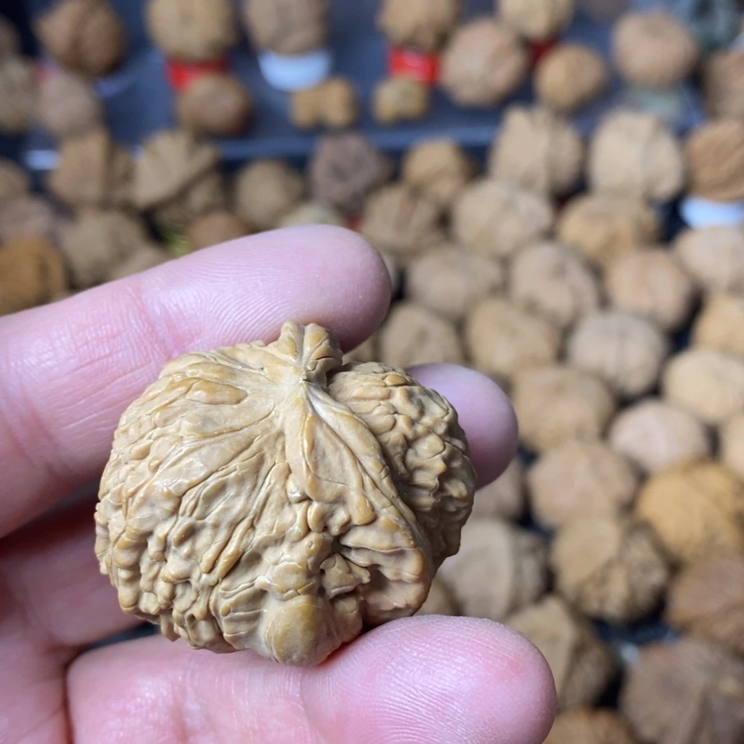 跳***核大叶紫檀（黑酸枝木类）