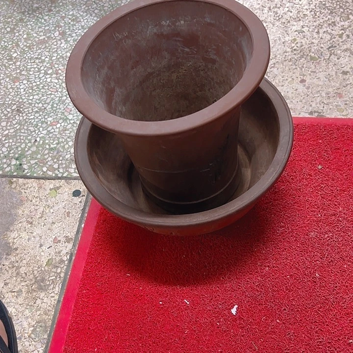 红陶E****兔。。。。。。。。。。。