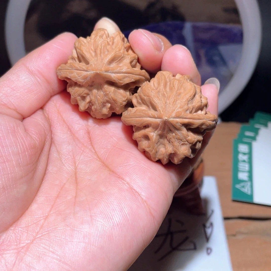 把件核桃S246。 38尺。 大龙