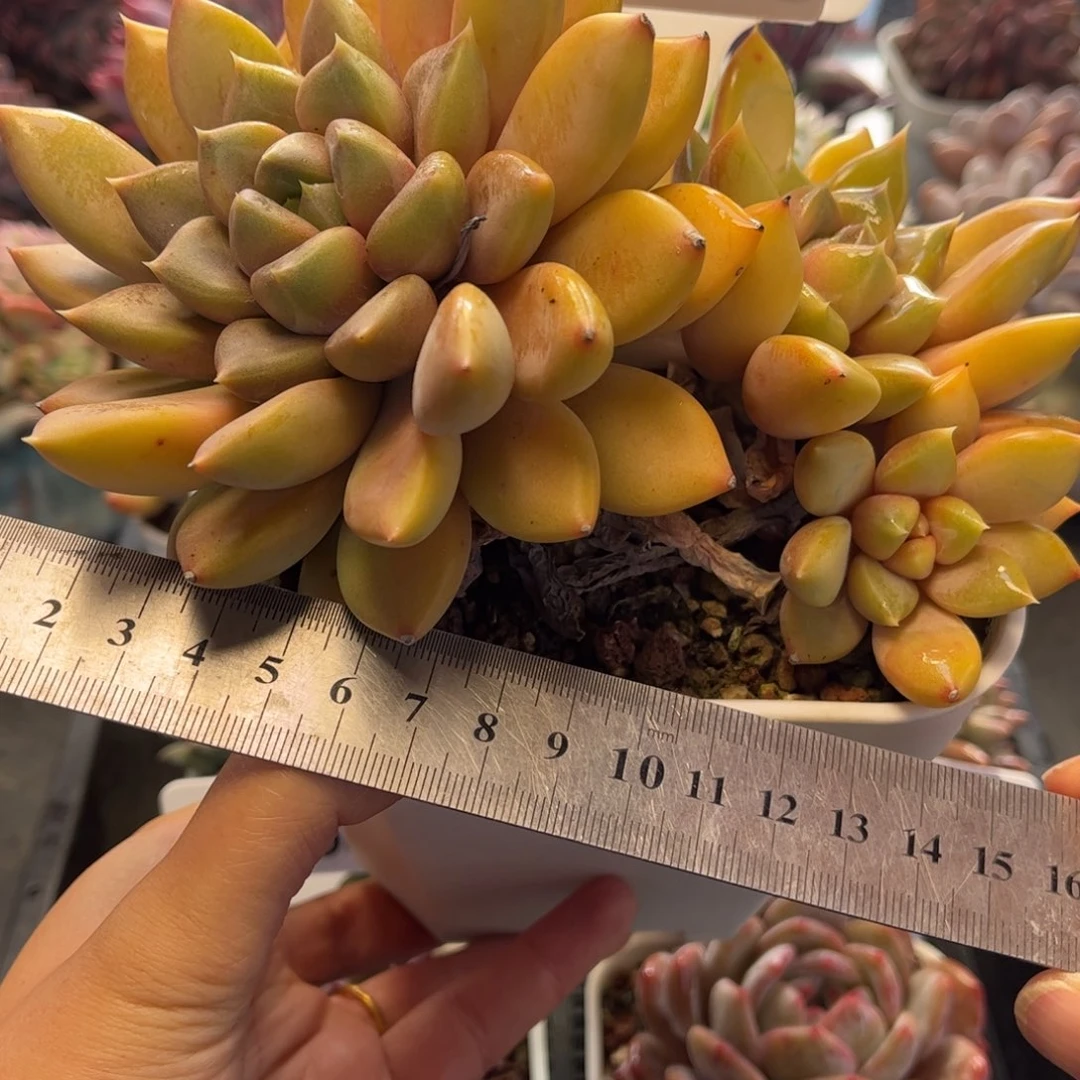 2172 满30包邮 天冷必拍保温箱