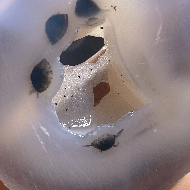 简***福定制玛瑙定制玛瑙