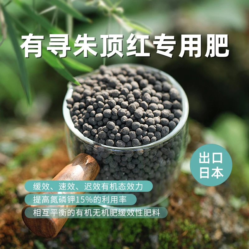 有寻种球 朱顶红专用肥 有机无机肥