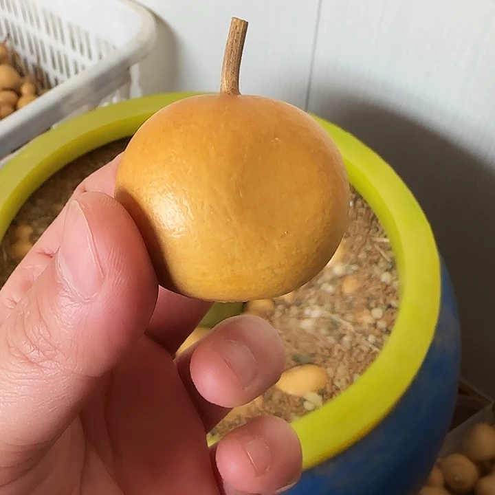 昊阳精品葫芦直播间放漏