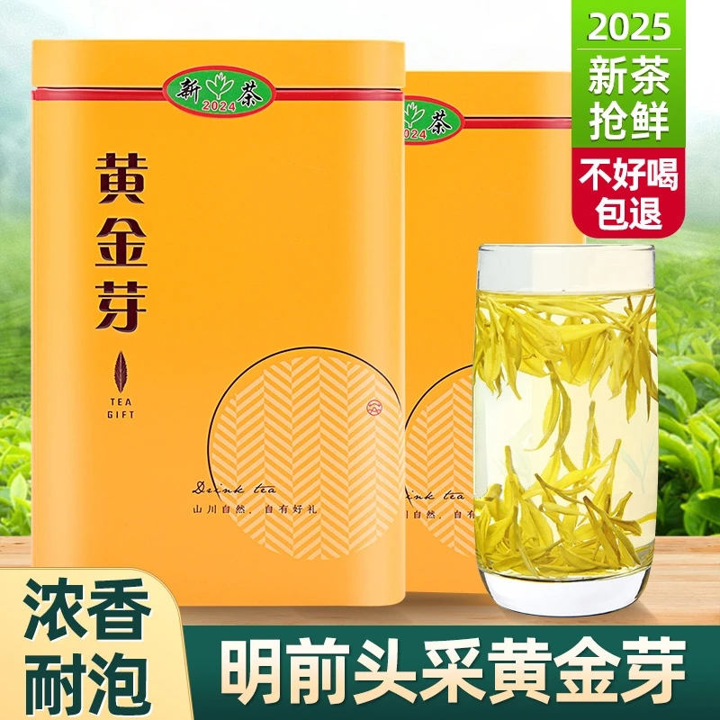 【支持试喝】【2025年新茶】黄金芽A1茶叶明前茶送人礼盒送人过节绿茶