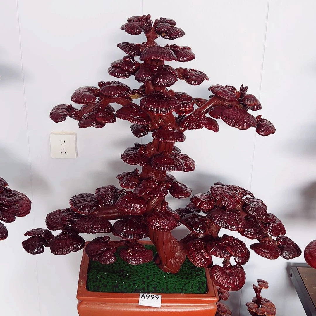 【闪购商品】全部花朵