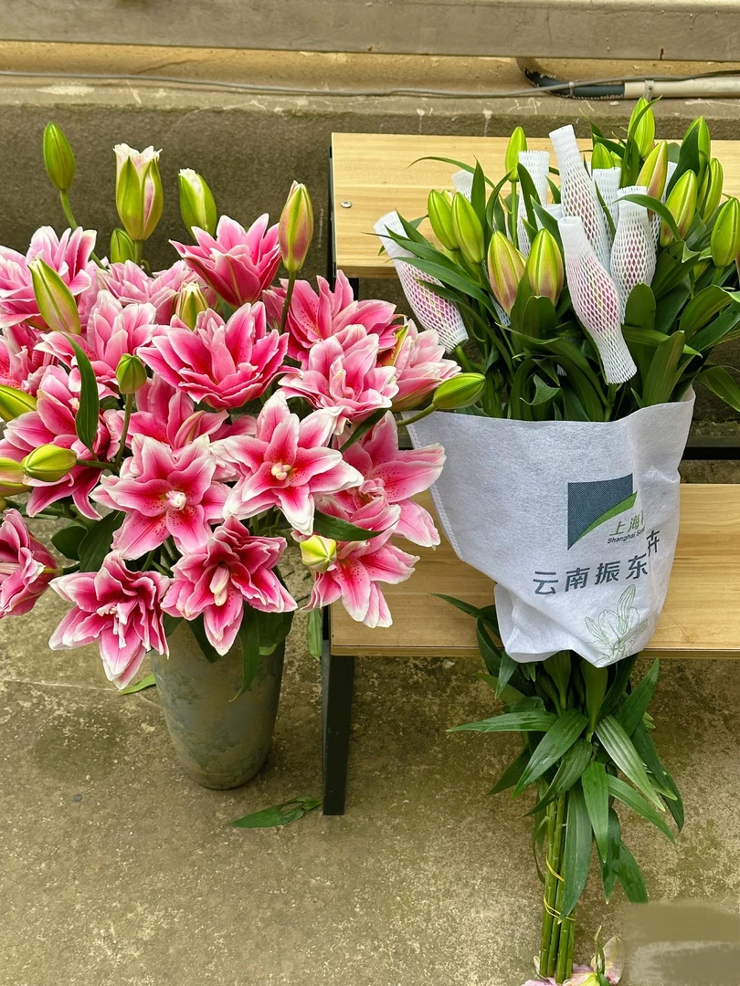 挚爱重瓣香水百合：收到花第一时间醒花，不会找客服【教学视频】