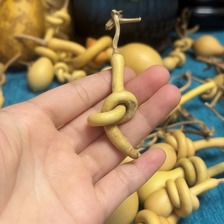 小***苏一把葫芦便宜漏了