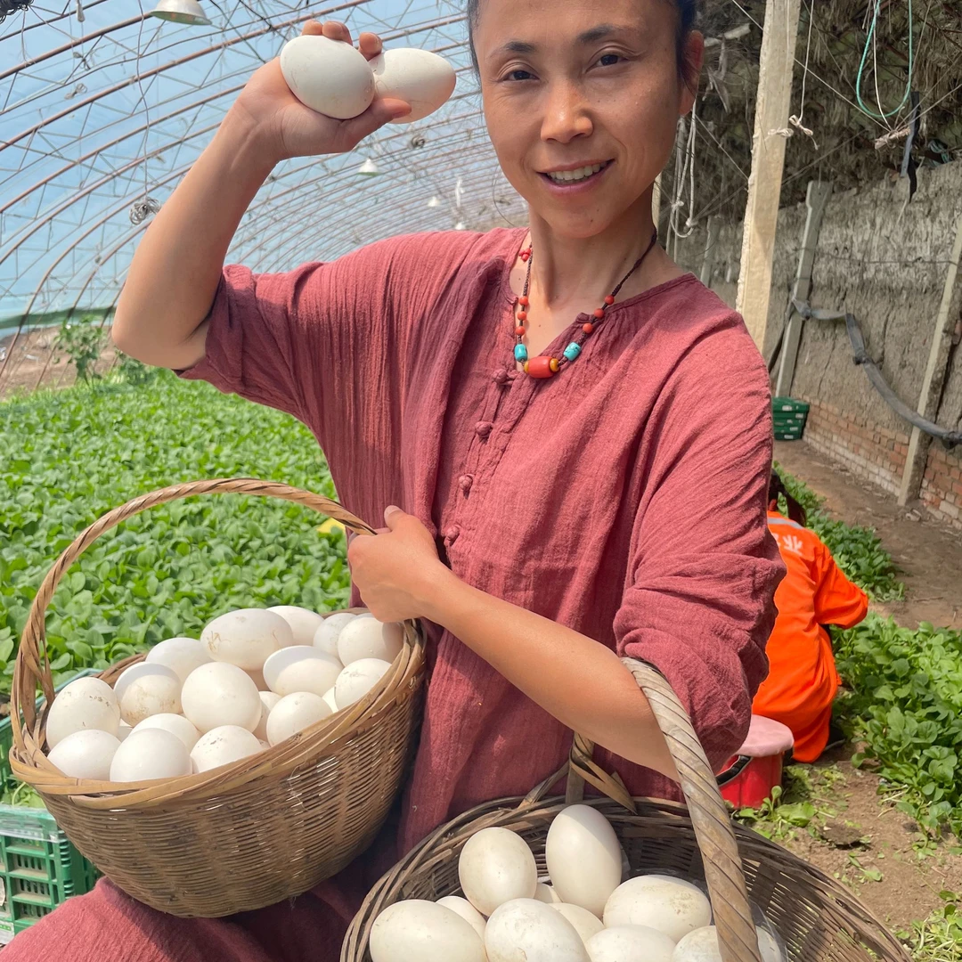 【嫂子专属】东北笨鹅蛋散养大鹅鹅蛋六枚全国包邮