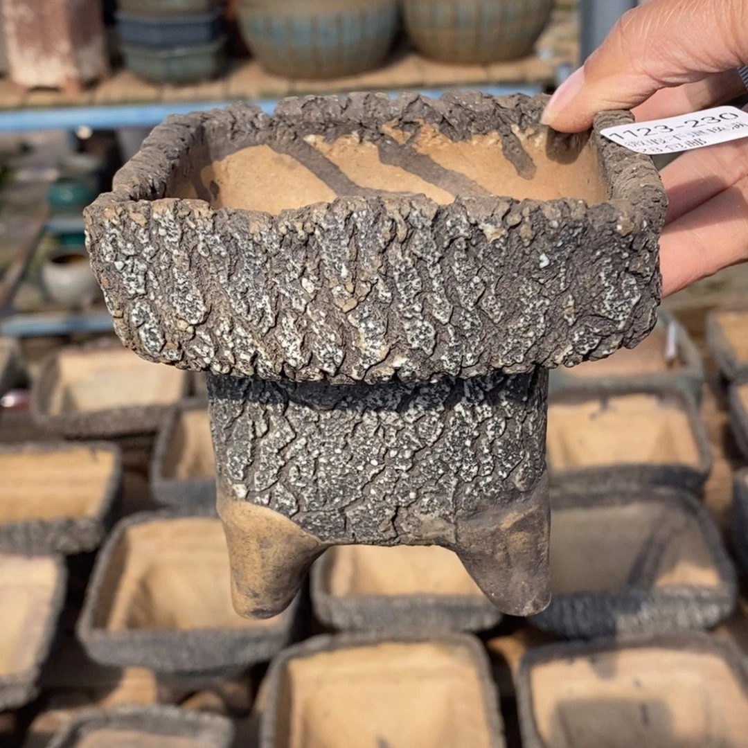 230号多肉盆口径9