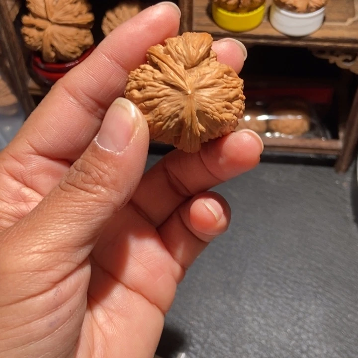 荆***鸟核桃白狮子角尺寸38修