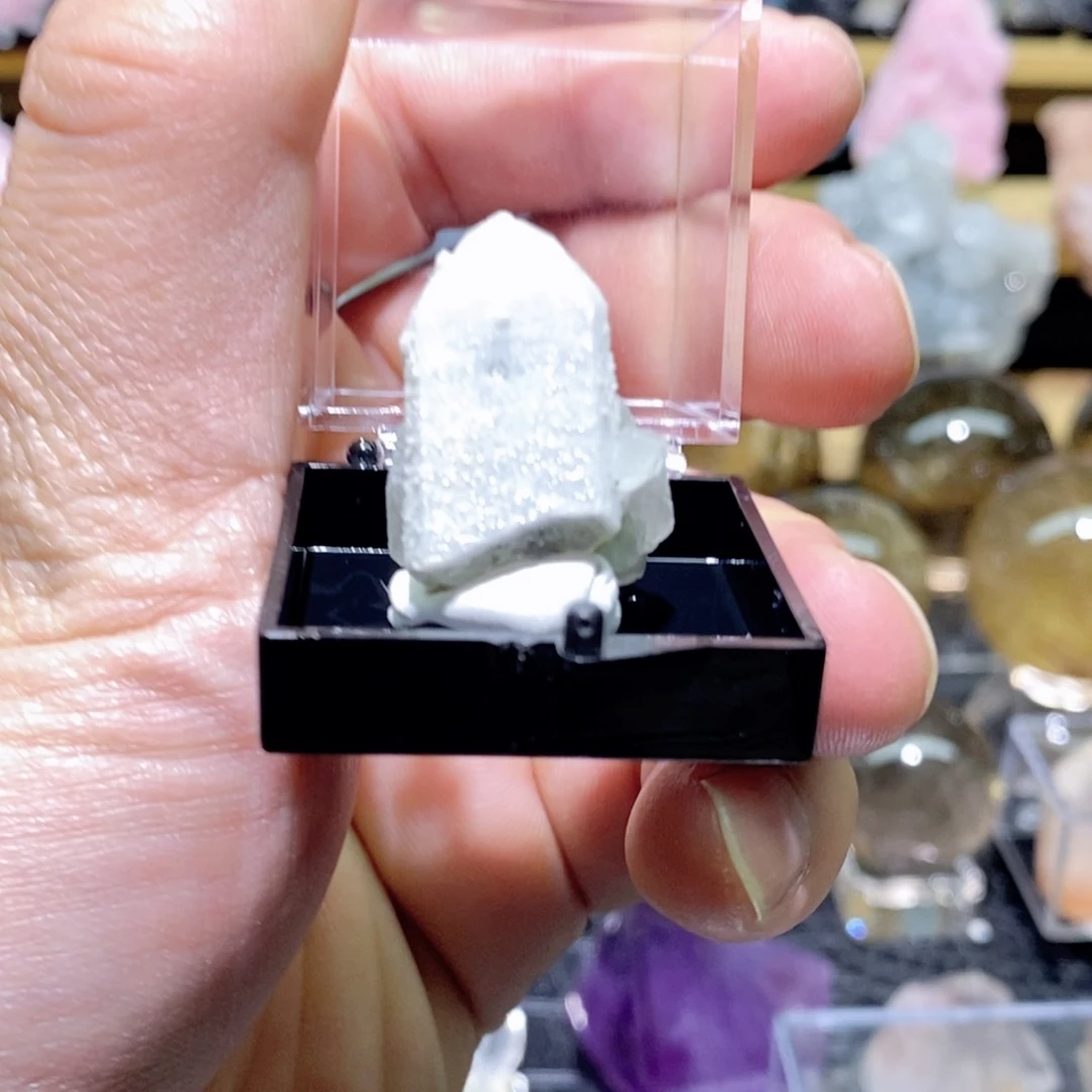 摆件摆件摆件摆件摆件