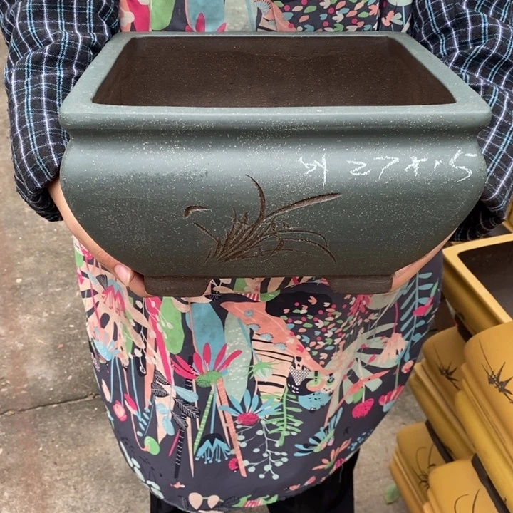 紫砂花盆只顾吃药睡