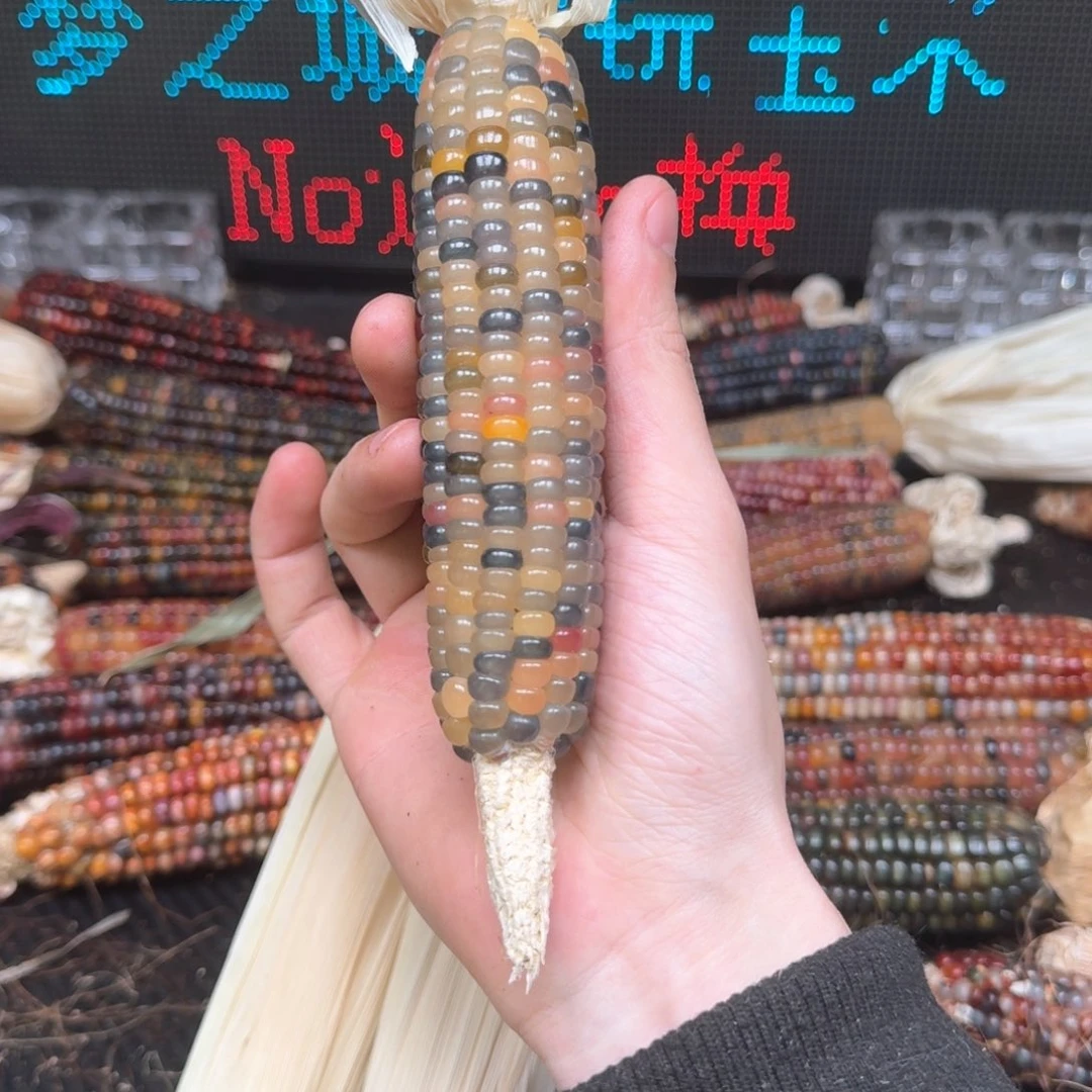 柏香籽/百香籽吊坠。**o