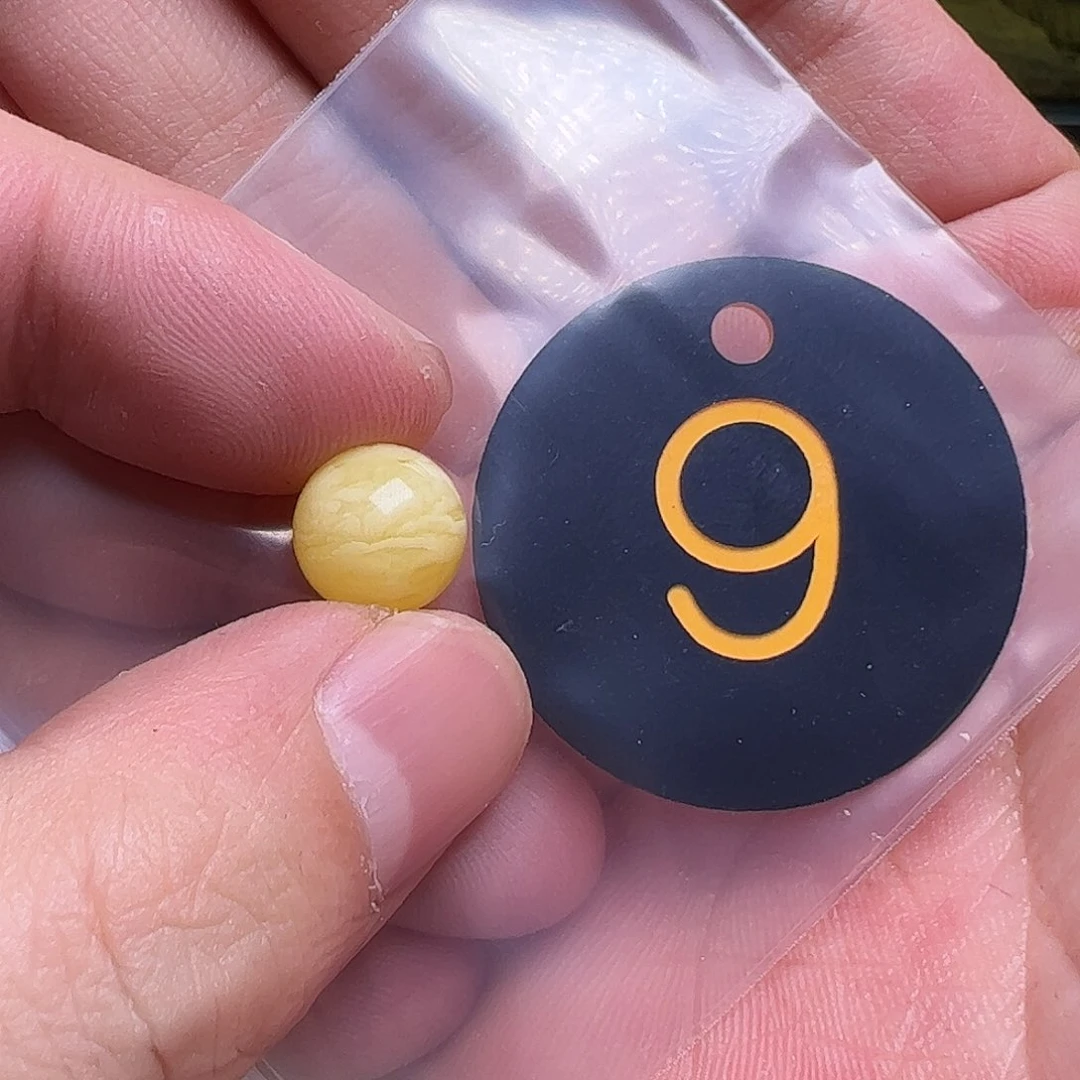 蜜蜡未镶嵌珠宝奇石简***E10.5mm微花粉