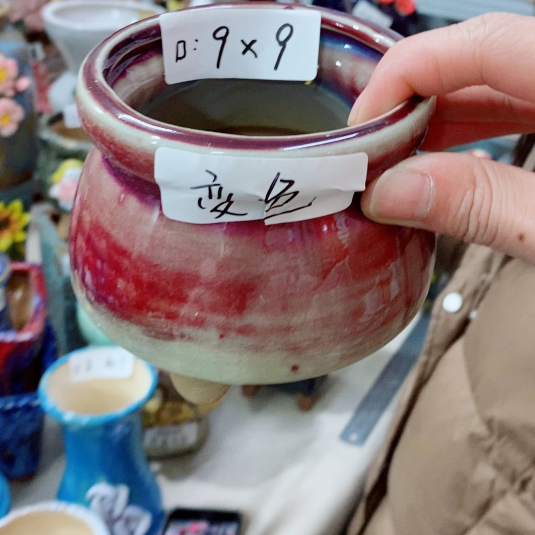 红陶福利福利活动变色