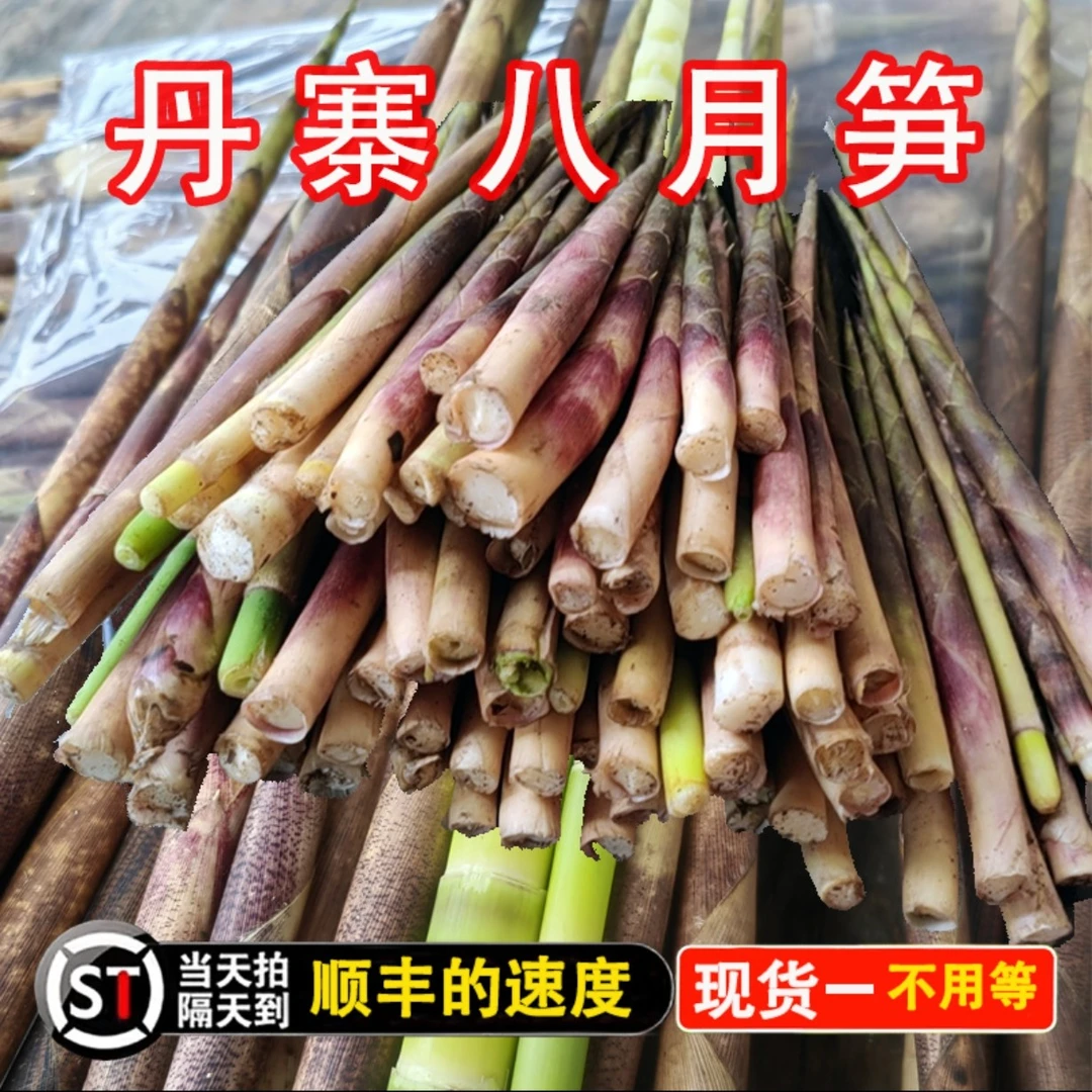 2025新鲜八月笋贵州竹笋新笋丹寨八月笋小竹笋现货