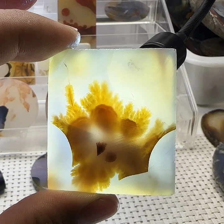 玛瑙/玉髓未镶嵌珠宝奇石