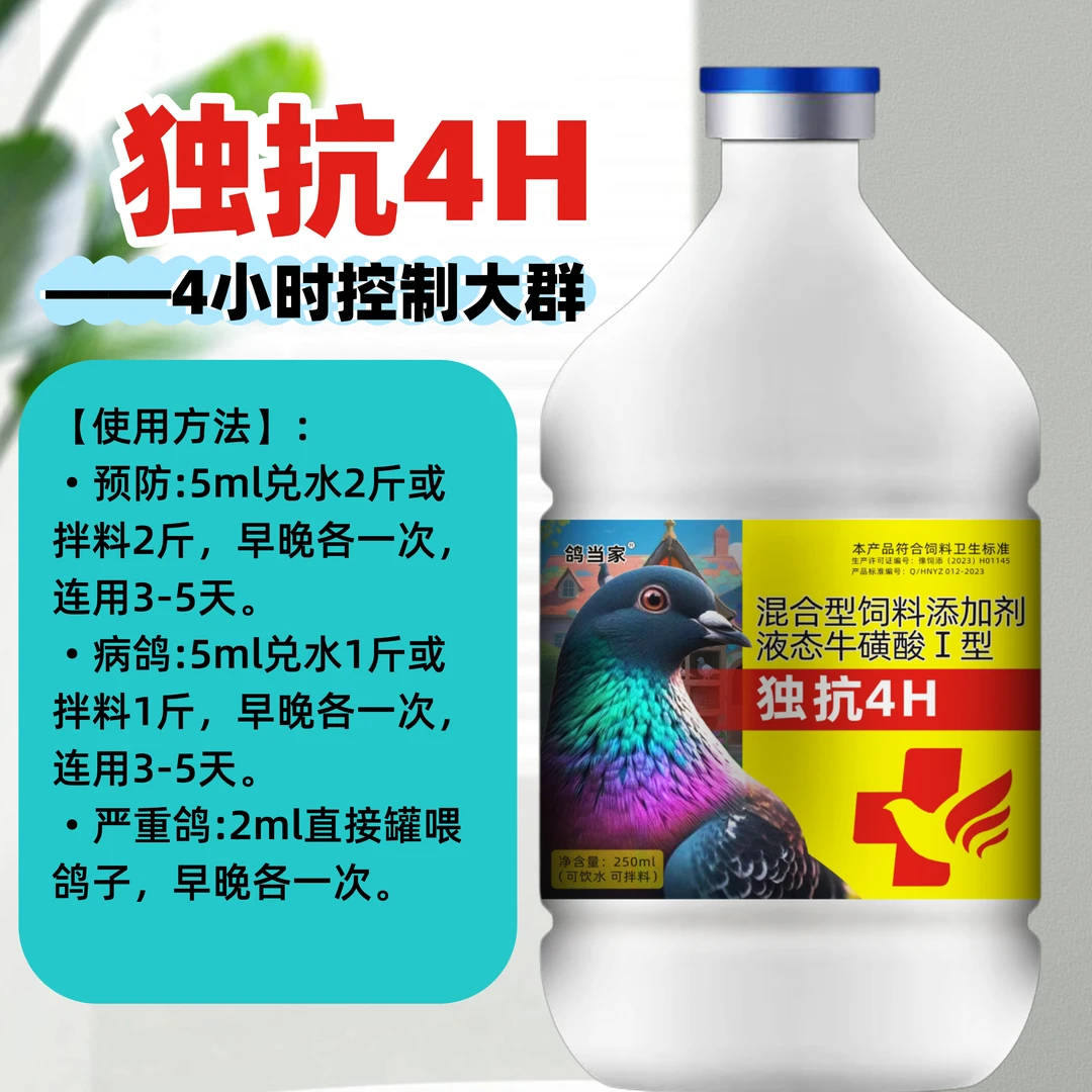 鸽当家独抗4H 鸽用品100ml浓缩应对诈毛缩头緑便甩拉土鸽子用品